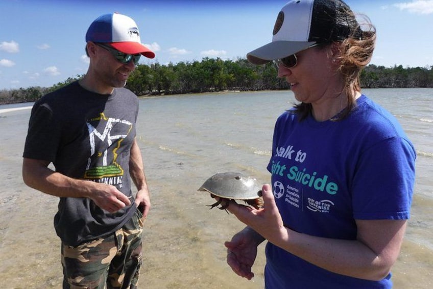 Two people holding a turtle on a beach. 1