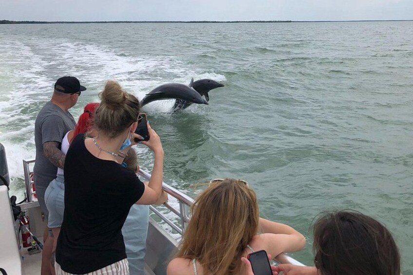 Een boot met mensen die dolfijnen uit het water zien springen. 2