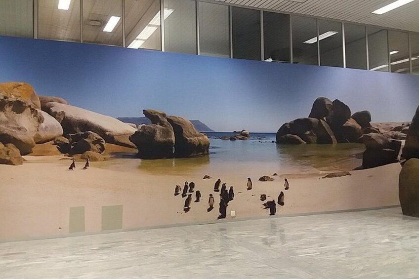 Un murale raffigura una spiaggia con rocce e un mare calmo. 4