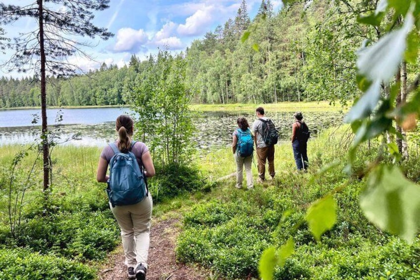 Magical Taiga Forest Hike with Lunch and Transportation 5