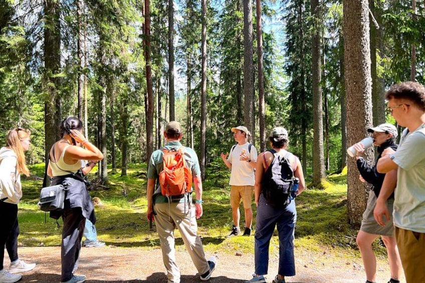 Magical Taiga Forest Hike with Lunch and Transportation 3