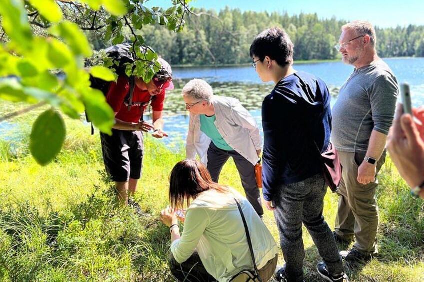 Magical Taiga Forest Hike with Lunch and Transportation 3