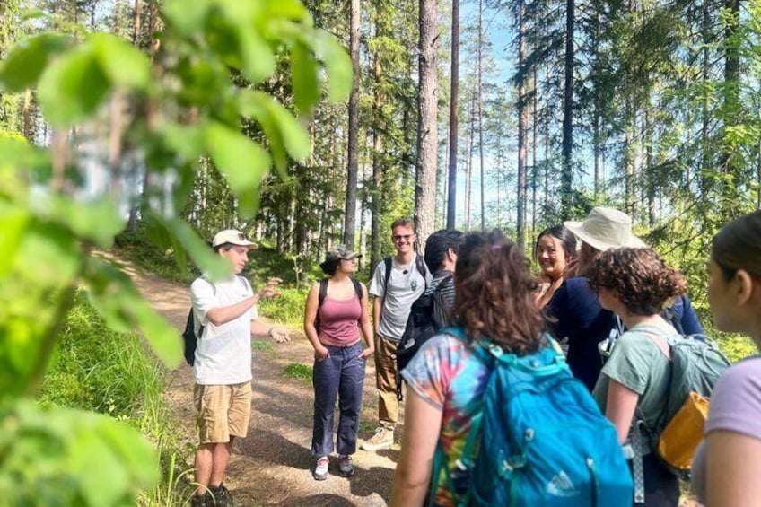 Magical Taiga Forest Hike with Lunch and Transportation 4