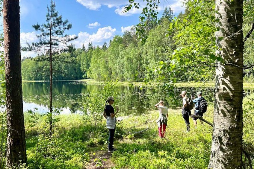 Magical Taiga Forest Hike with Lunch and Transportation 4