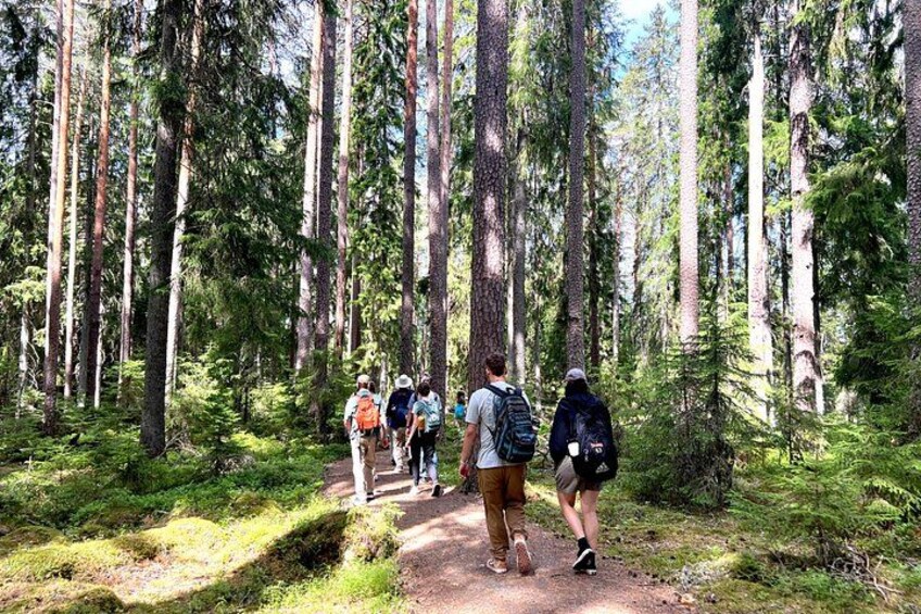 Magical Taiga Forest Hike with Lunch and Transportation 3
