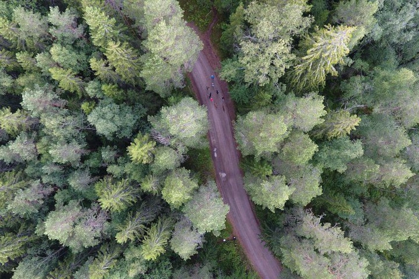 Magical Taiga Forest Hike with Lunch and Transportation 5
