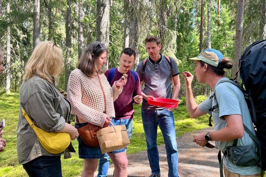Magical Taiga Forest Hike with Lunch and Transportation 2