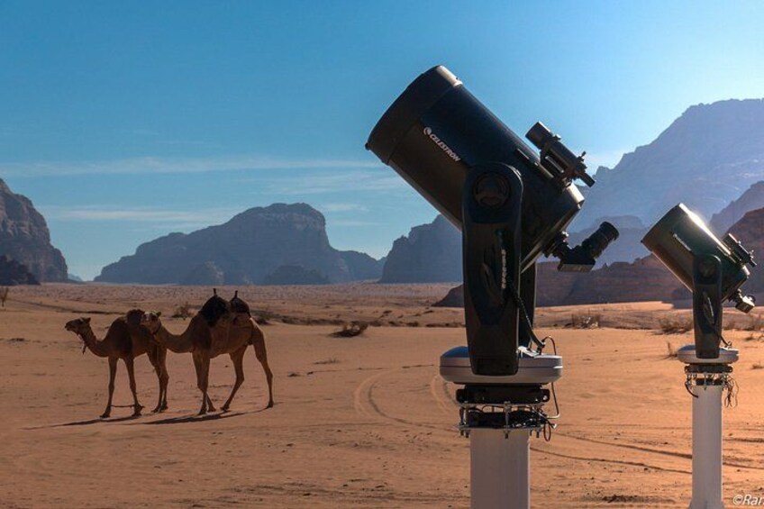 Un paysage désertique avec des chameaux et des télescopes. 1