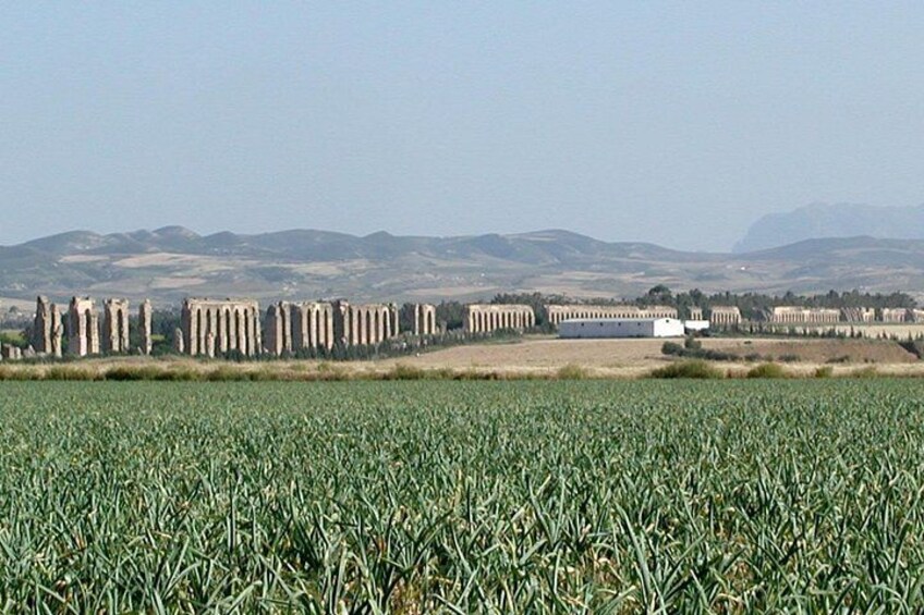 Full-Day Tour to Zaghouan from Tunis 3