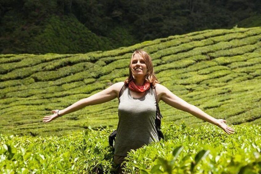 Cameron Bharat Tea Estate