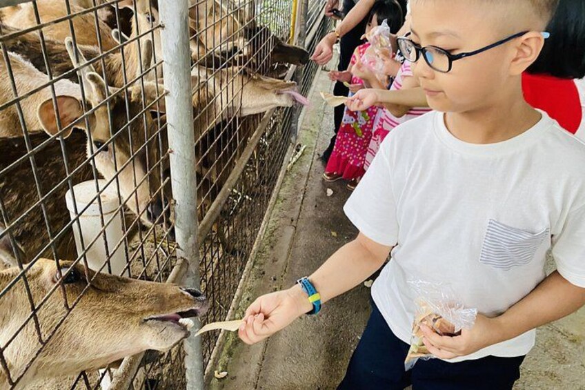 Eco Farm 3