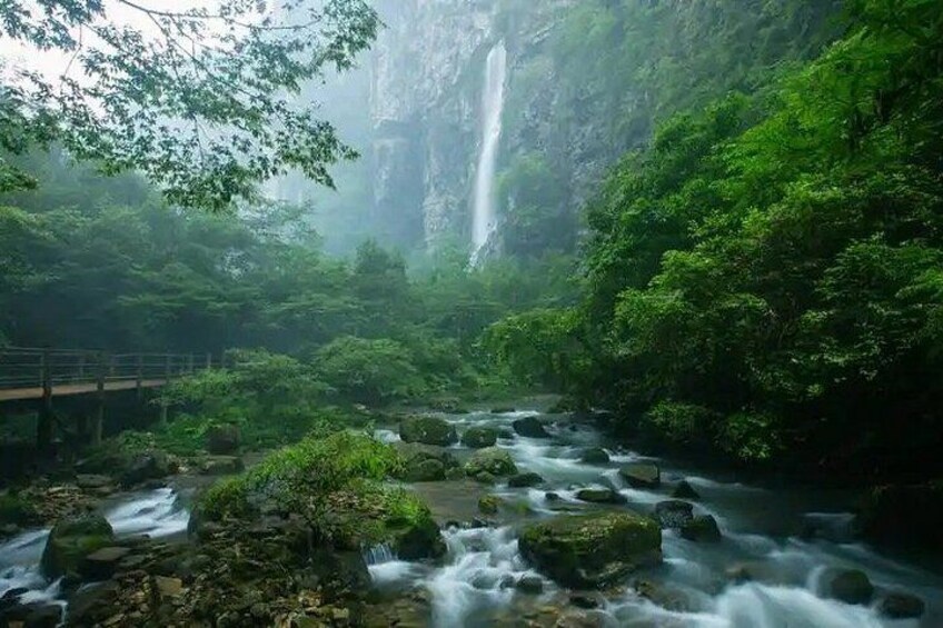 A waterfall, dense greenery, and a wooden bridge. 3