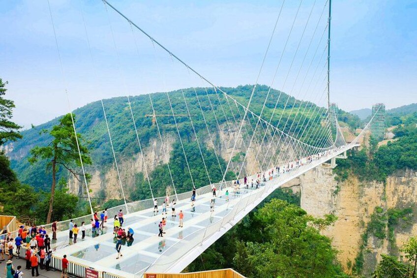 A suspension bridge with people walking on it, surrounded by green hills. 5
