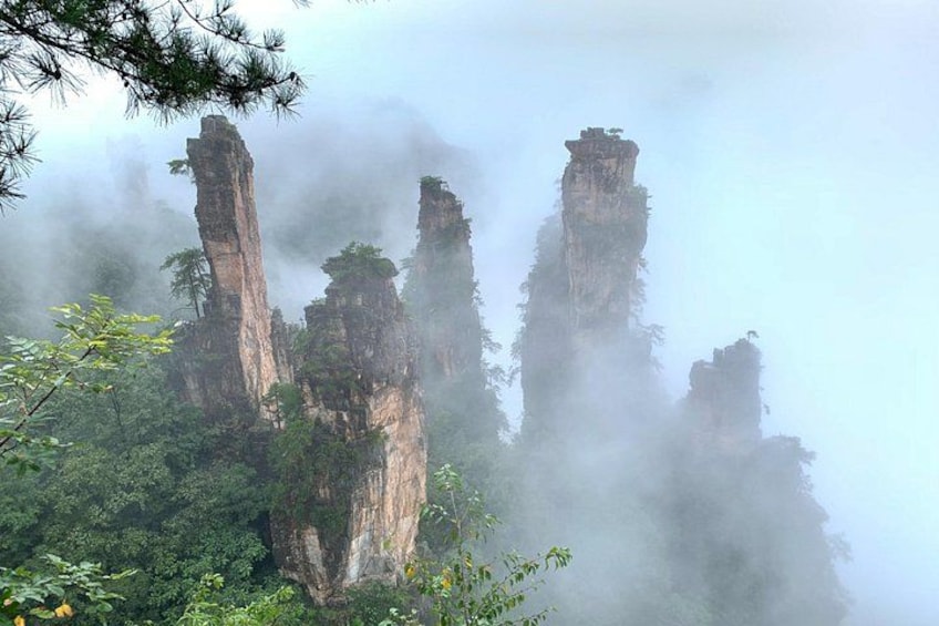 Majestätische Felsformationen, in Nebel gehüllt, umgeben von dichtem Wald. 4