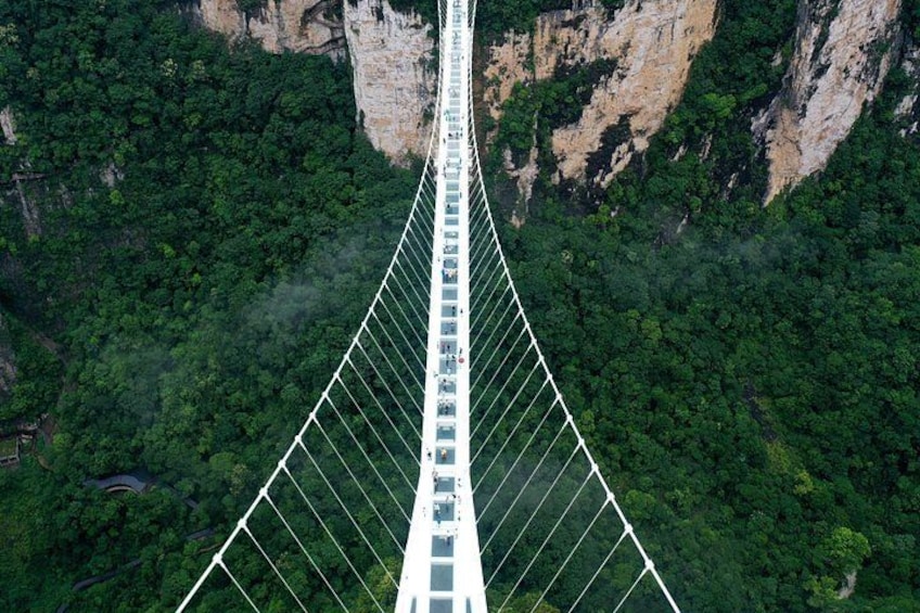 Eine Hängebrücke mit Stahlseilen und einem Gehweg, umgeben von dichtem Wald und schroffen Klippen. 3