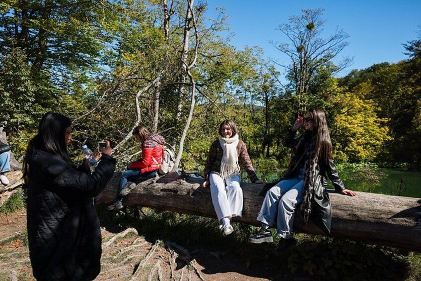 A group of people sitting on a log in a forested area. 5