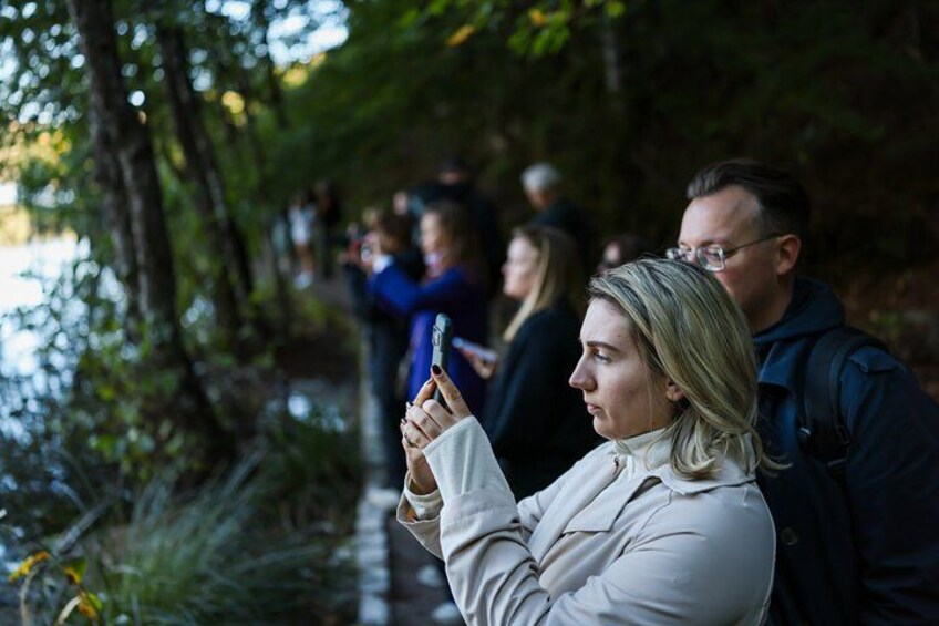 A person taking a photo with a smartphone, surrounded by trees and a body of water. 3