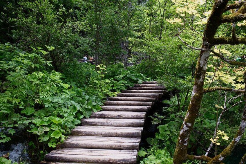 From Zadar: Plitvice Lakes Guided Day Tour with Tickets 2