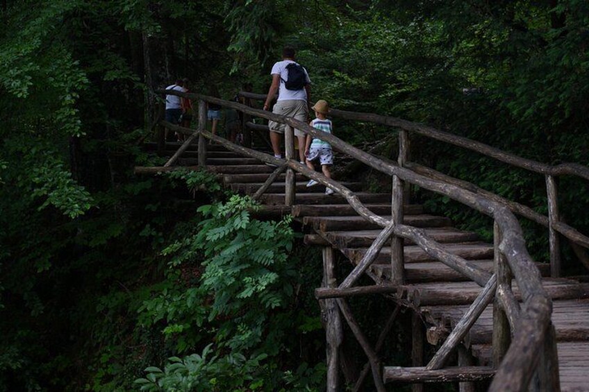 From Zadar: Plitvice Lakes Guided Day Tour with Tickets 5