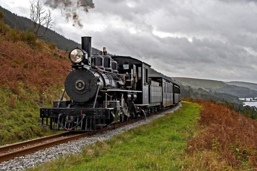 Brecon Mountain Railway, Pant 1