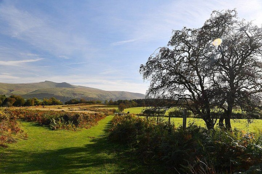A rural landscape with a tree-lined path, green fields, and distant hills. 3