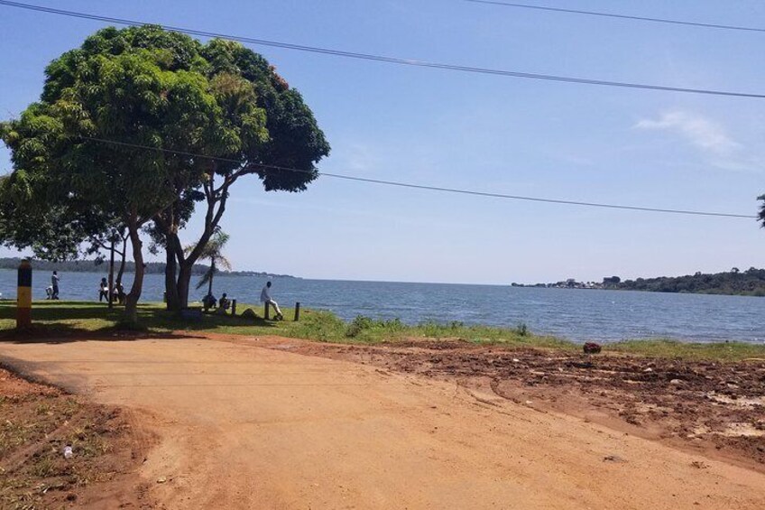 A dirt road leading to a beach with people walking and sitting under trees. 1