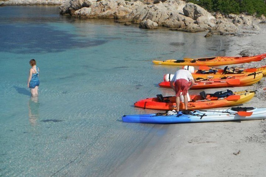 Kayak Tour in the Marine Reserve ! 2