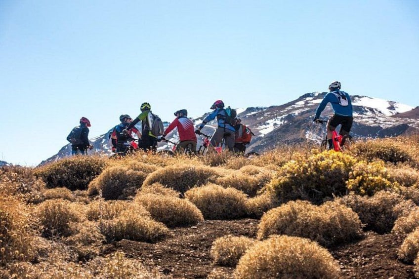 En gruppe cyklister på en bjergsti med sneklædte toppe i baggrunden. 5