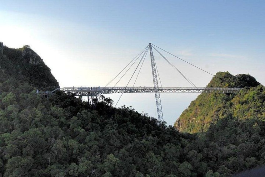 Un pont à haubans enjambant une vallée, avec des collines densément boisées de part et d’autre. 2