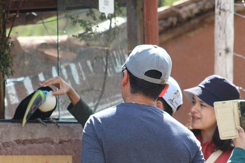 Cusco: visita el centro rescate de animales 4