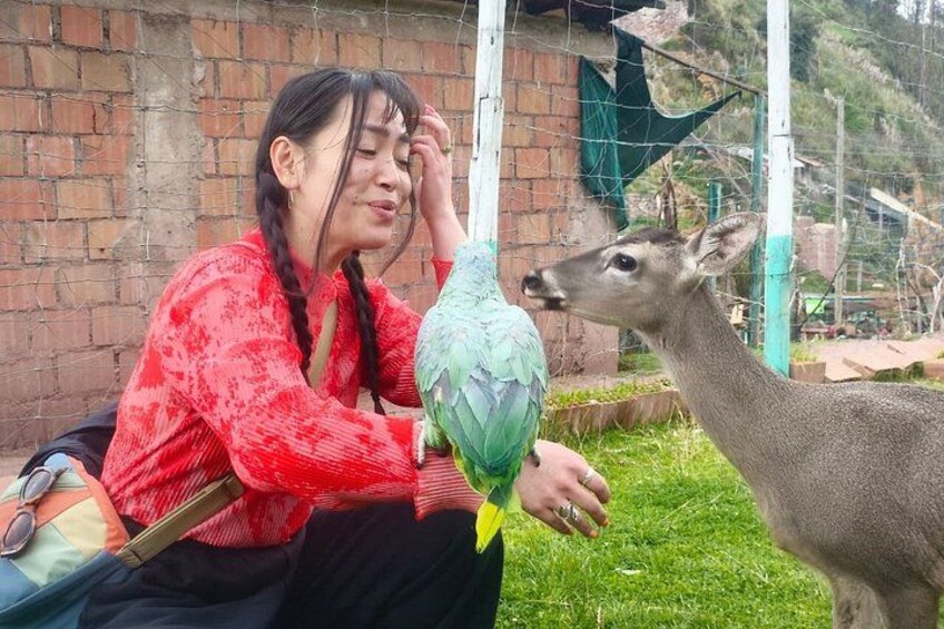 Cusco: visita el centro rescate de animales 2