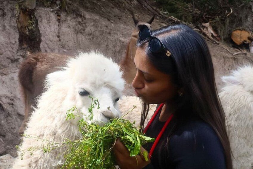 Cusco: visita el centro rescate de animales 2