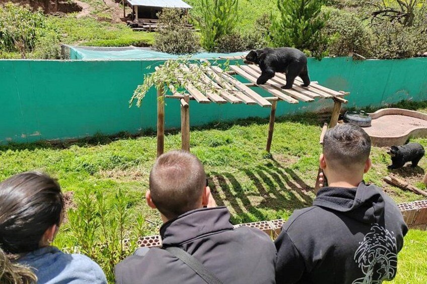 Cusco: visita el centro rescate de animales 3