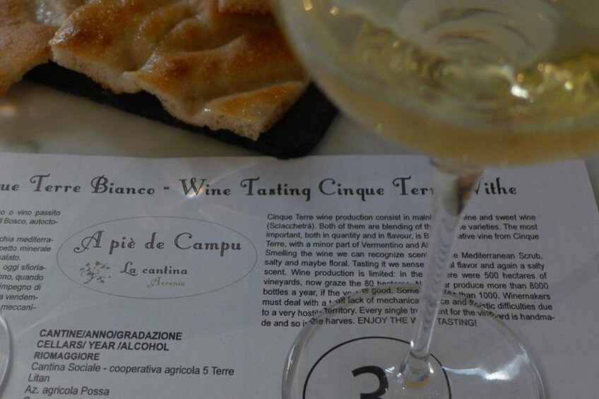 vineyard tour & wine tasting 2