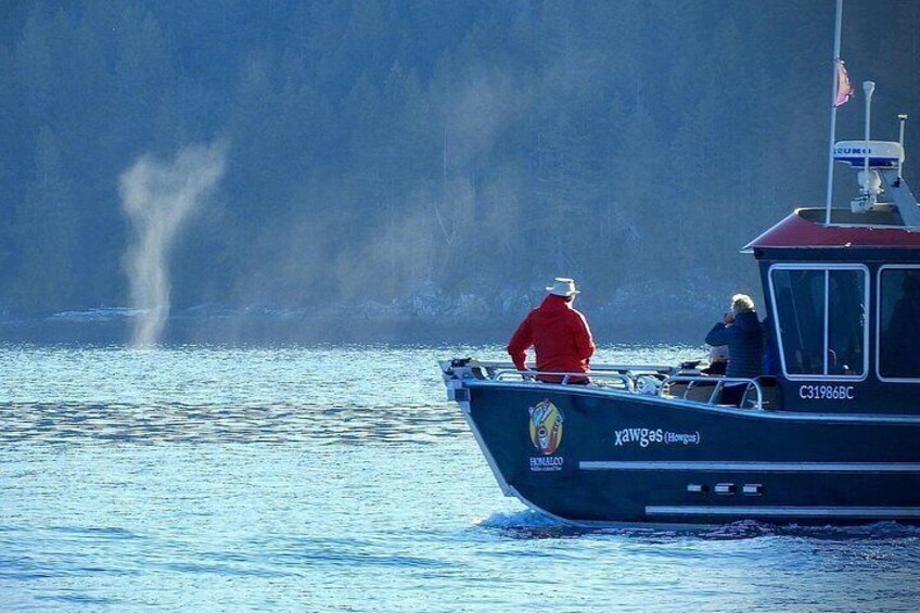Humpback blow 2