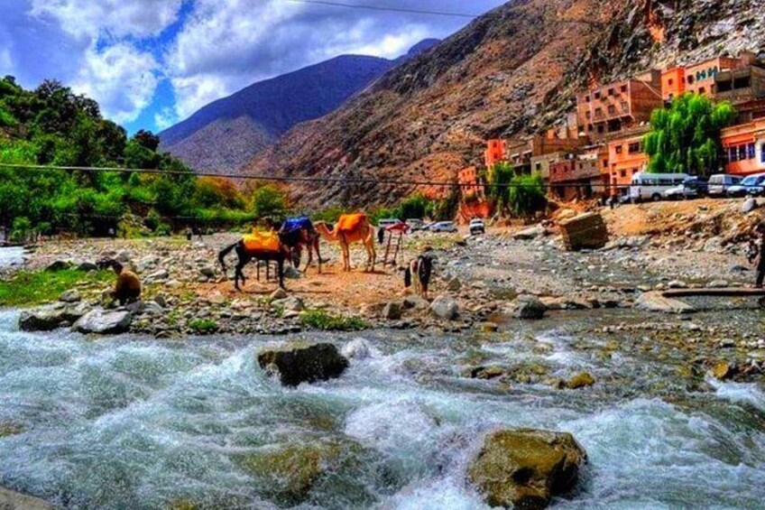 Atlas Mountains and Three Valleys & Waterfalls with Camel ride Day Trip 3