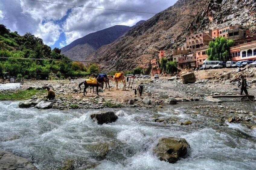 Atlas Mountains and Three Valleys & Waterfalls with Camel ride Day Trip 4