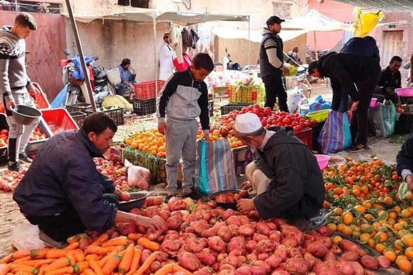 Atlas Mountains and Three Valleys & Waterfalls with Camel ride Day Trip 1