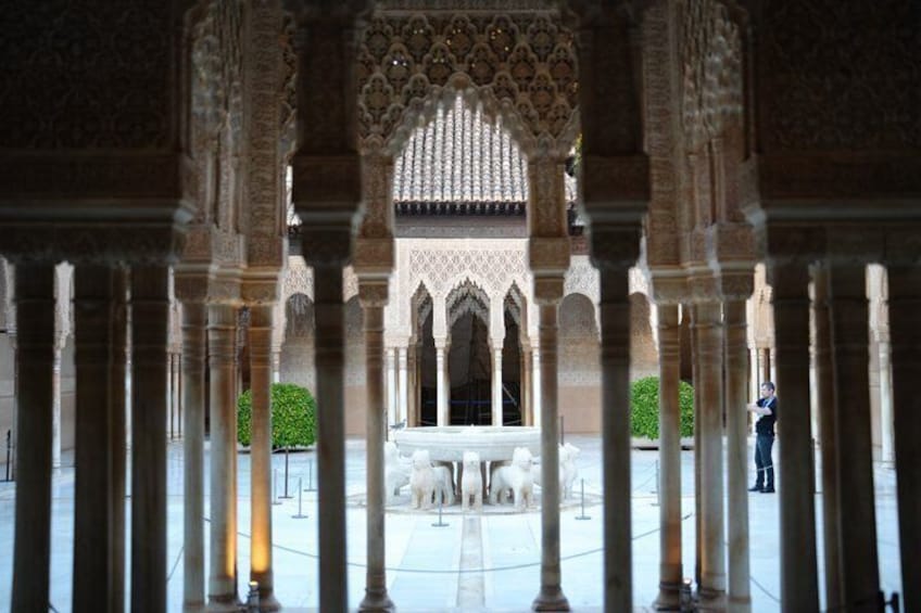 Alhambra &Charles Palace Guided Tour with Optional Nasrid Palaces 2