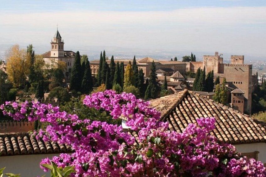 Un pueblo histórico con una iglesia destacada, tejados de teja anaranjada y flores púrpuras en flor. 3