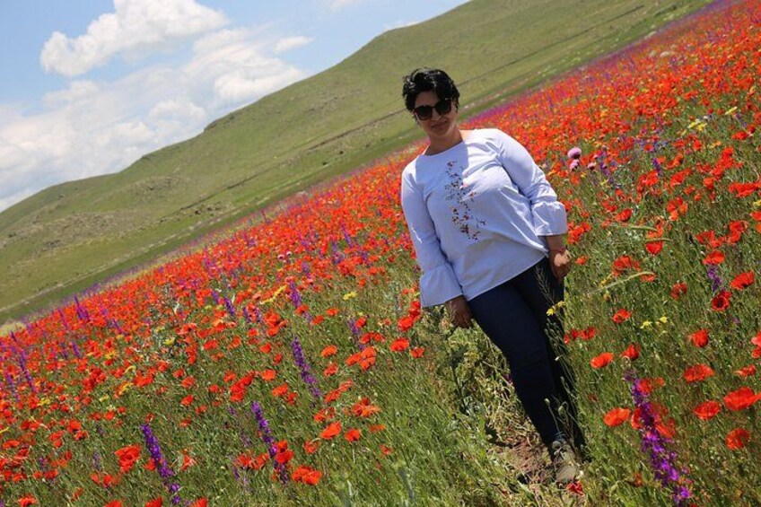 A person standing in a field of red poppies with green hills in the background. 3