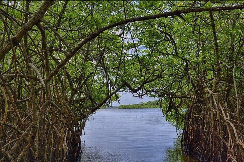 Kadolana at Madu river