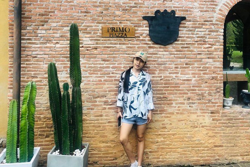 A person standing in front of a brick wall with a sign that reads 'PRIMO PIAZZA.' There are several cacti in planters to the left. 4