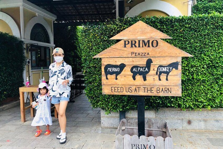 A wooden sign with the text 'PRIMO PIAZZA' and silhouettes of a donkey, alpaca, and horse. 5
