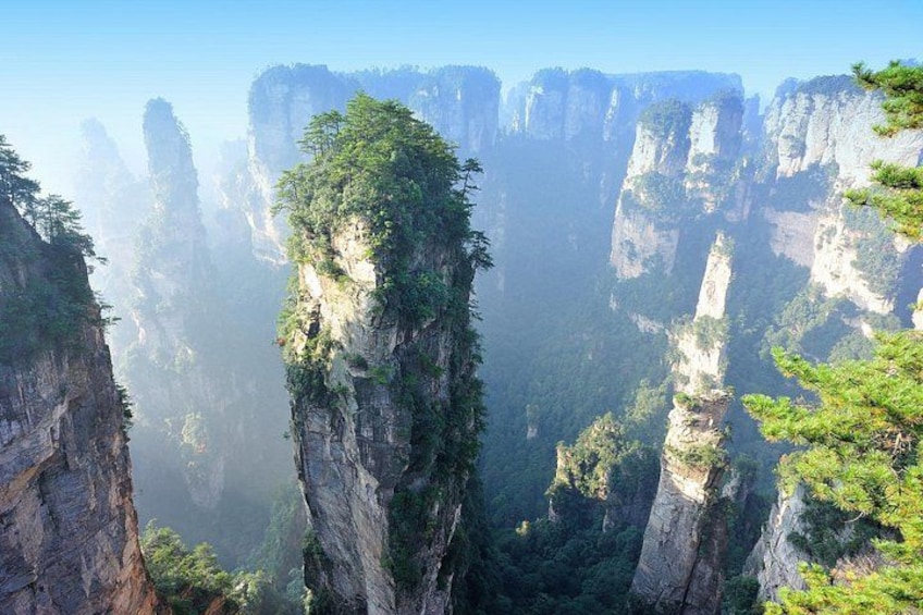 Eine Schlucht mit hoch aufragenden Klippen und dichter Vegetation. 1