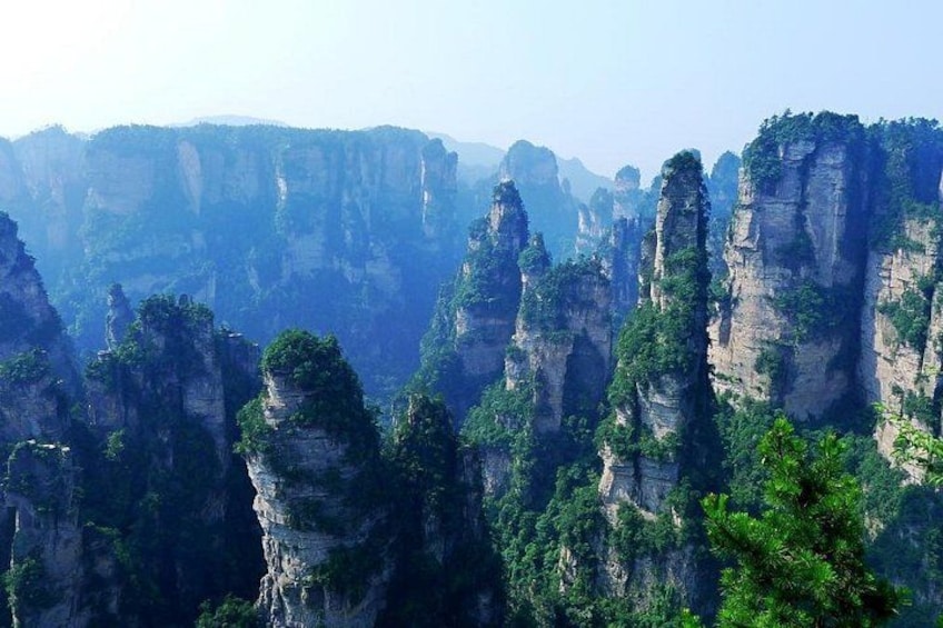 Eine Landschaft mit hoch aufragenden Kalksteinkarstbergen und dichter, grüner Vegetation. 3