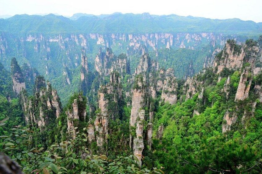 Eine Landschaft mit hoch aufragenden, schmalen Felsformationen, umgeben von dichtem Grün. 4