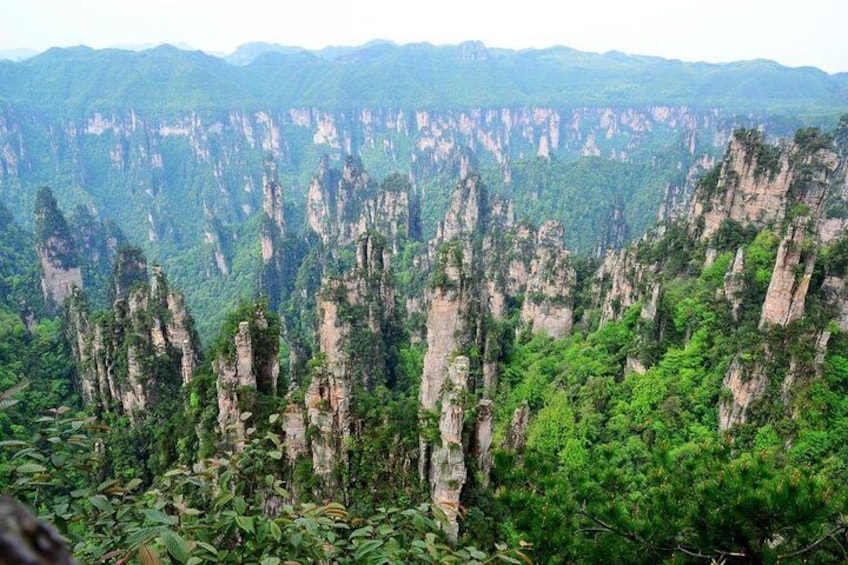Zhangjiajie national forest park 3