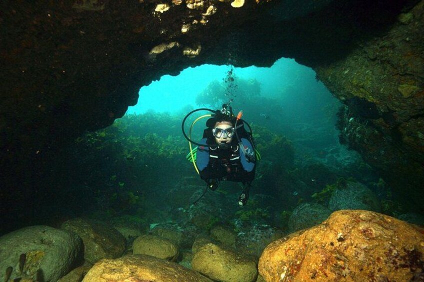 Full-Day Scuba Dive Charter to Hen Island 2