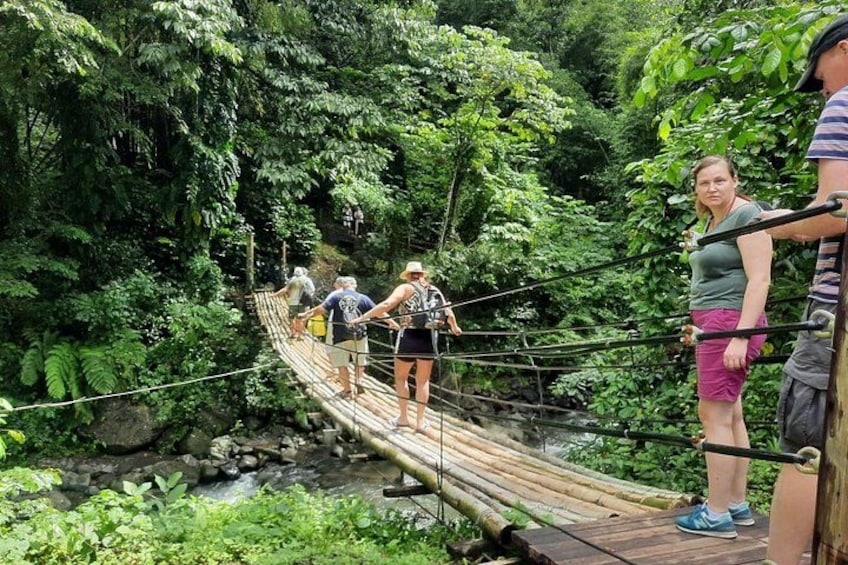 Dark View Falls & Botanical Gardens with Trubb Taxi Tours 1